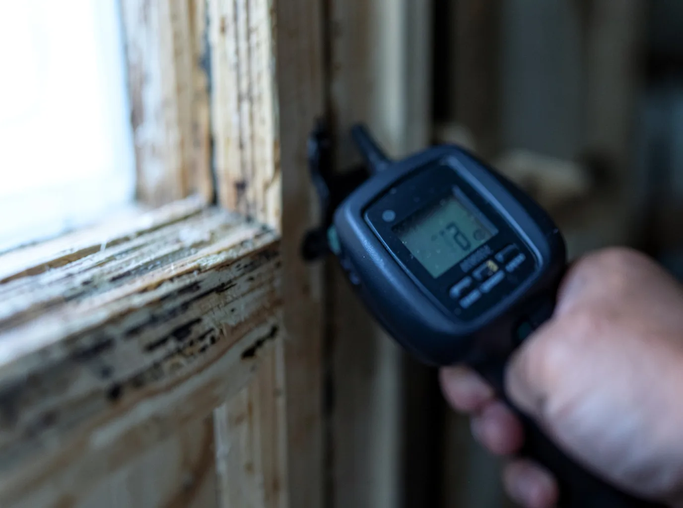 Moisture Inspection And Documentation in Spurger, TX